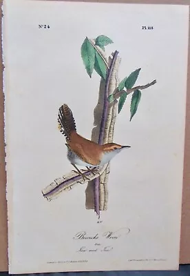 Bewicks Wren Audubon 1st Edition 1840 Hand Colored  Litho J.t.bowen • $89.95