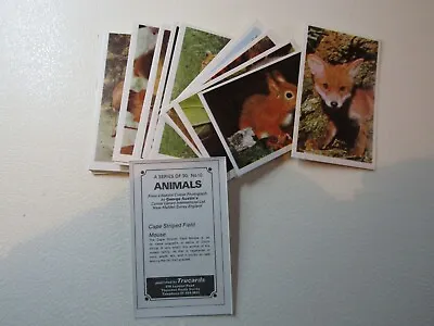 Trucards 1972 ANIMALS Cards Card Variants (e34) • $2.10