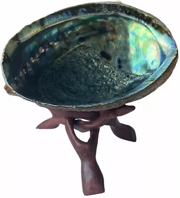 Abalone Natural Shell Extra Large *7-8” Perfect For Smudging~W/Hand Carved Stand • £240.32