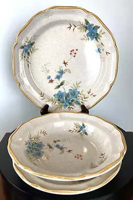 Mikasa Garden Club Day Dreams EC 461 Dinner And Salad Plates And Soup Bowls • $30