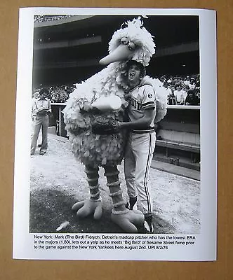 Detroit Tigers' Mark  Fidrych Photo With Big Bird ! • $14.95