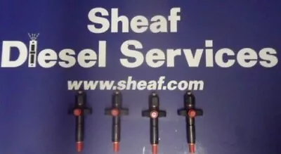 £65 • Buy Massey Ferguson Tef 20 Diesel Injectors  - Service Exchange