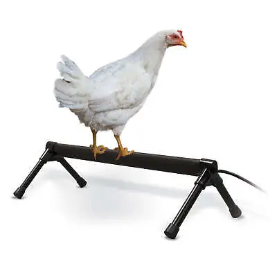 K&H Pet Products Thermo-Chicken Perch KH2111 • $56.38