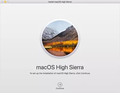 Mac OS 10.13 High Sierra USB Installer Drive • $19.99