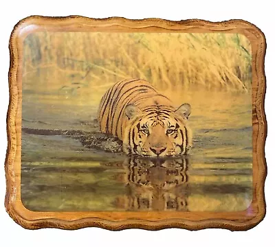 VINTAGE Tiger Wood Lacquered Plaque 80s 90s Animal Jungle Hanging Wall Art 11x9” • $9.99