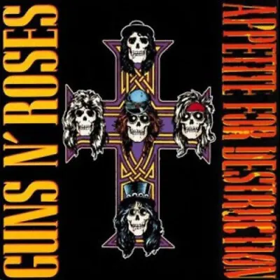 Guns N' Roses - Appetite For Destruction (Commercial Marketing) Vinyl 12  Album • £21.99