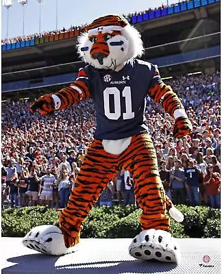 Auburn Tigers Unsigned Aubie The Tiger Hyping Up Crowd 16x20 Photo • $24.99