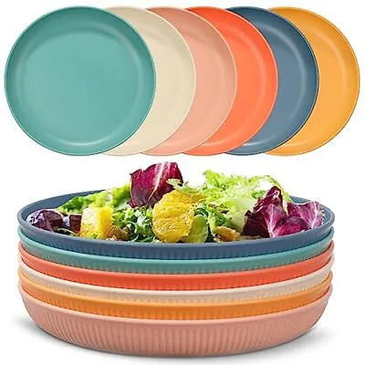 Unbreakable Dinner Plates Set Of 6 Microwave & Dishwasher Safe Plastic • $16.06