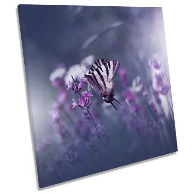 Lavender Purple Queen Butterfly CANVAS WALL ART Square Picture Print • £24.99