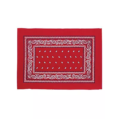 Bandana Red Single July Fourth Placemat 13 X 19 C&F Home • $13.99