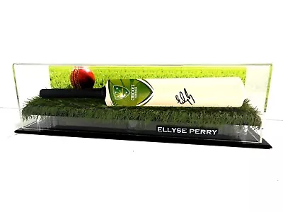 Signed Ellyse Perry Cricket Australia Mini Bat - Proof COA - WBBL Sydney Sixers • $269.99