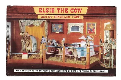 Elsie The Cow And Her Twins Borden 1957 Postcard • $1.99