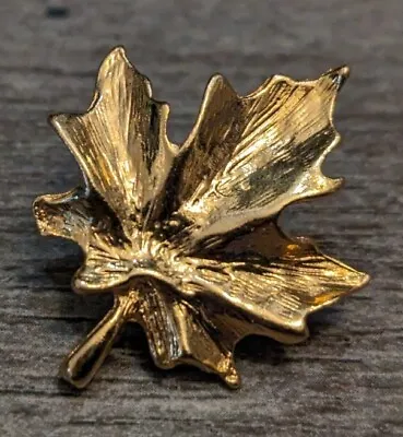 Vintage Gold Tone Maple Leaf Brooch Lapel Pin • $7.49