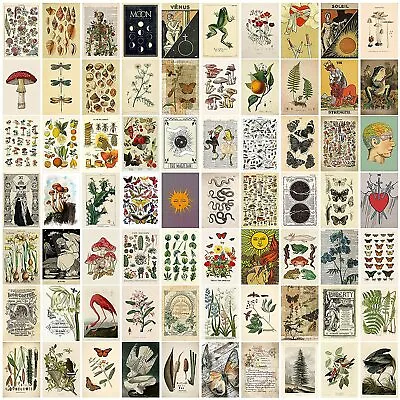 £11 • Buy 70 PCS Vintage Wall Collage Kit Botanical Illustration Small Poster Home Deco