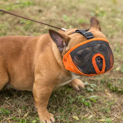 £16.59 • Buy Snout Dog Muzzle - Suits Pug, Boxer,  French+Bulldog Breathable Mask S-XL Short 