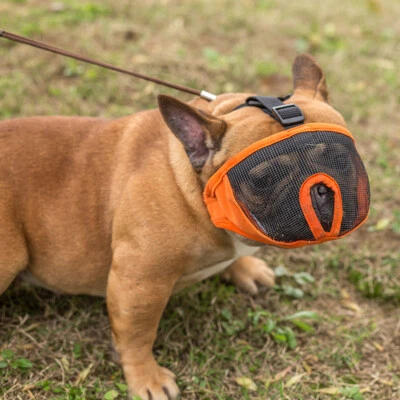 £16.59 • Buy Snout Dog Muzzle - Suits Pug, Boxer,  French+Bulldog Breathable Mask S-XL Short 