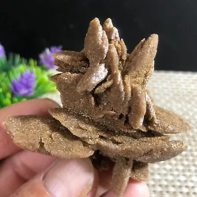 $13.30 • Buy Healing Of Stone Mineral Clusters In Selenite Samples Of Desert Rose 55g C10