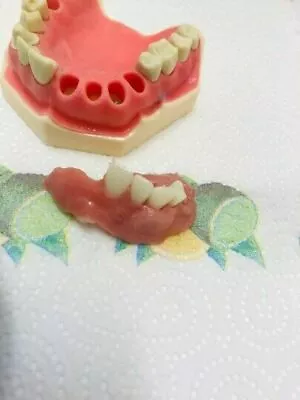$66.54 • Buy DIY Denture Kit (Basic) Immediate Partial Denture, Full Denture Upper OR Lower