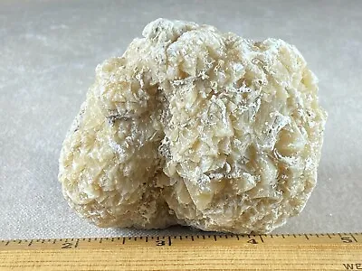 Calcite Crystals Replacing Fossil Coral - Ancient Florida Coral Reef  • $6