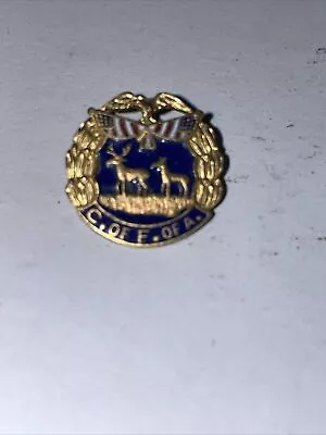 Vintage Metal C Of F Of A Foresters Of America Enamel Lapel Pin Rare • $5