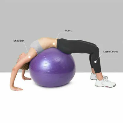 $14.49 • Buy 25.59'' Yoga Ball Exercise Anti Burst Fitness Balance Workout Stability W/ Pump