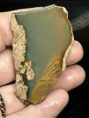 Morrisonite Jasper Slab .4 Oz Rough Jasper Agate Cab J34 • $4.99