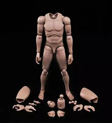 New 1/6 Action Figure Male Body Caucasian Skin MX02-A In Stock • $18.99