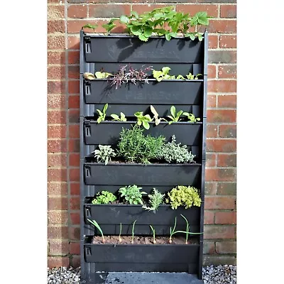 Wall Mounted Planting Trough Green Wall PlantBox - 10 Unit System • £145