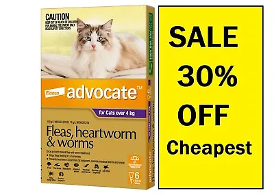 Advocate 6 Pack Cat Kitten Over 4kg Fleas Heartworm Worms Treatment Purple 6pk • $89.99