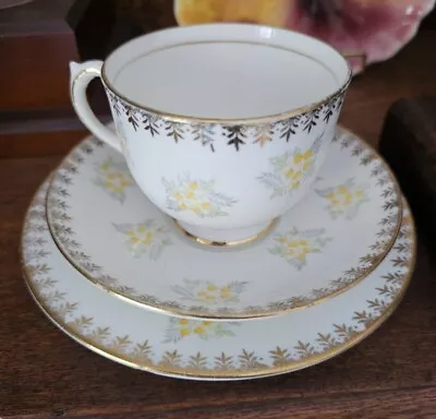 Vintage Salisbury Bone China Trio Floral With Gold Trim Pattern 1376 Very Sweet • $22