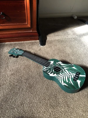 $50 • Buy Beginners Ukulele