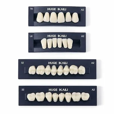 JMU Dental Acrylic Resin Denture Teeth A2 T6 Full Set False Teeth Upper Lower • $13.99