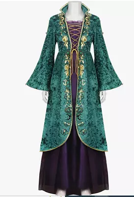 Adult Winifred Sanderson Costume Dress Women/Girls Medieval Cosplay Wi • $24.94