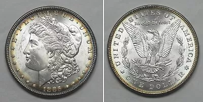 X5851  1885 Morgan Dollar Choice BU Perimeter Toning • $75