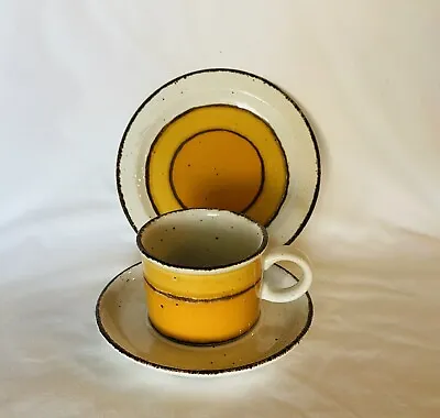 £24.34 • Buy Vintage 70s Stonehenge Midwinter Sun Tea Coffee Flat Cup & Saucer Set England