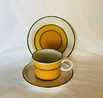 £24.34 • Buy Vintage 70s Stonehenge Midwinter Sun Tea Coffee Flat Cup & Saucer Set England