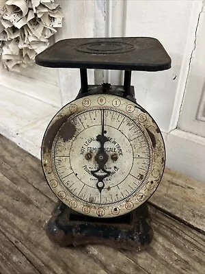 Vintage Pelouze Family Scale Deluxe - 24 Lb Scale - Chicago • $28