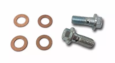 Caliper Brake Hose Banjo Bolt Set M10x1.5 With Copper Washers  • $9.95