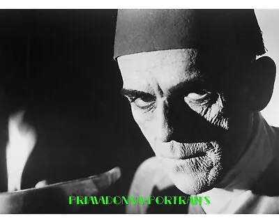 BORIS KARLOFF 8x10 Lab Photo 1931  THE MUMMY  IMHOTEP Horror Movie Still #1 • $14.99