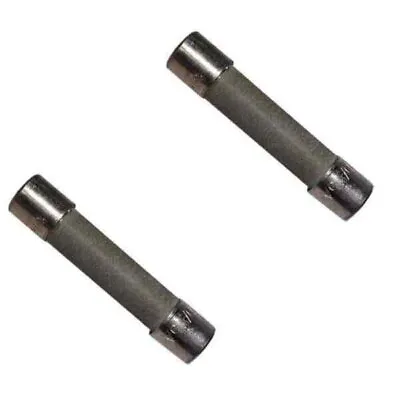 Hot Tub Compatible With Vita Spas 30 Amp Fuse 2 Pack VIT452151 • $19.98