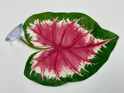 Large 5  Soft Betta Hammock!! 1-leaf Pink & Green Caladium Silk Plant W/ SUCTION • $10.18