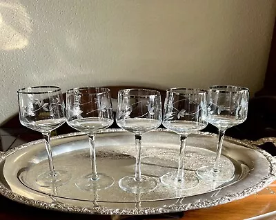 Vintage Cocktail Glasses Mid Century Etched Platinum Rim Champagne Wine Set~5 • $46.99