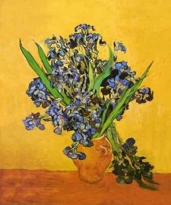 Les Iris By Vincent Van Gogh 12x10 Art Print Poster • $12.50