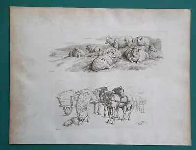 £15.21 • Buy SHEEP HERD And Cart Horses - 1810 Original Etching Print After S. Howitt