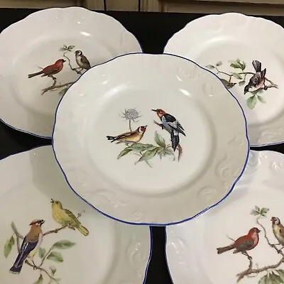 (5) Vista Alegre Portugal Porcelain Salad / Dessert Plates Birds Blue Trim NICE • $155