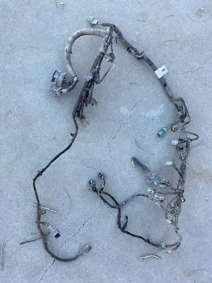 ***1999 FORD F-150 5.4L ENGINE WIRE HARNESS Wiring  OEM SEE PICTURES **** • $225