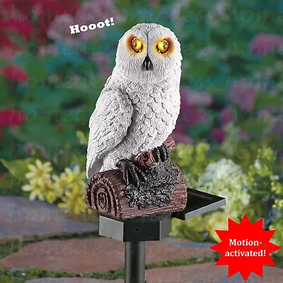 Motion Activated Solar Lighted Eyes And Sound Hooting Owl Garden Stake Statue • $29.98