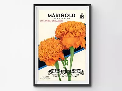 Marigold Vintage Seed Packet POSTER! (up To 24  X 36 ) - Flowers - Decor - Farm • $22