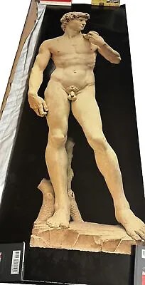 Michelangelo David Statue Poster 62x21 RARE  • $49.99