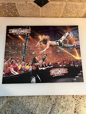 WWE Poster Print The Undertaker Vs HBK Wrestlemania XXVI Pro Wrestling 14” X 11” • $20.10